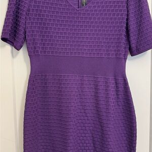 St. John Purple knee length Dress